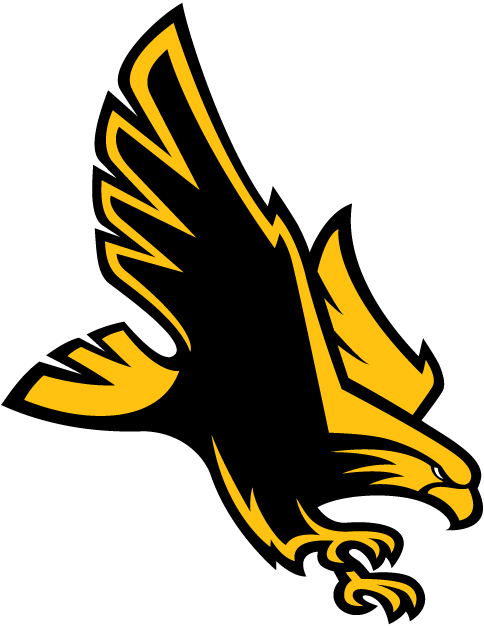 Southern Miss Golden Eagles 2003-Pres Alternate Logo vinyl decal